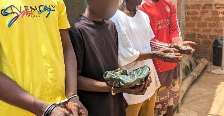A/R: Police bust alleged drug ring targeting university students, arrest 44