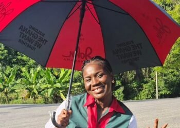 Give NDC consultants a chance – Daniella Mavis Mathias to gov’t appointees
