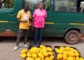 S/R: Police intercept 73 parcels of suspected cannabis, arrest two