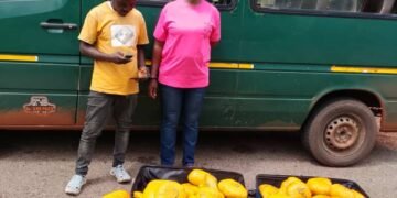 S/R: Police intercept 73 parcels of suspected cannabis, arrest two