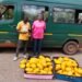 S/R: Police intercept 73 parcels of suspected cannabis, arrest two