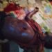 E/R: Police investigate death of farmer following shooting incident in Atiwa East