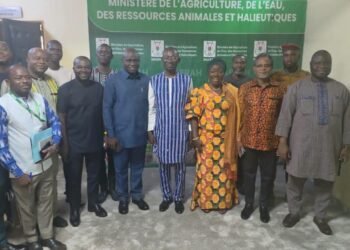 Ghana resumes egg exports to Burkina Faso following ministerial intervention