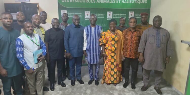 Ghana resumes egg exports to Burkina Faso following ministerial intervention