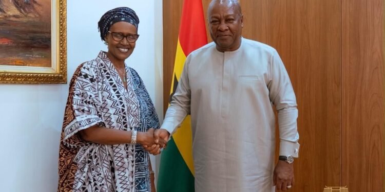 Mahama meets UN health leaders to advance Africa’s health agenda