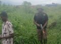A/R: Illegal miner arrested near Agenda 111 hospital site as galamsey fight intensifies