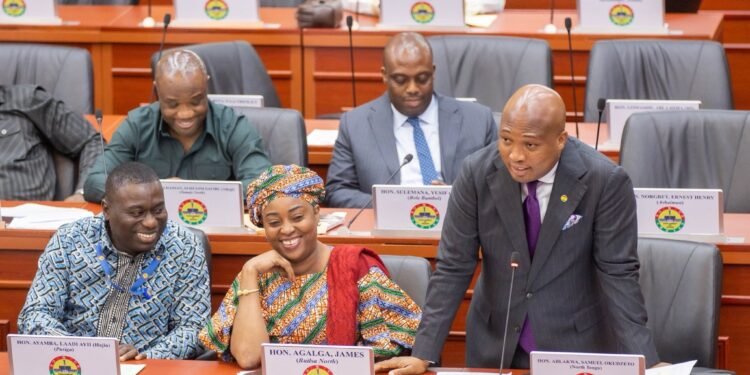 Foreign Affairs Ministry announces repatriation of slain Ghanaian, issues safety advisory for citizens in South Africa