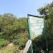 Cabinet directs revocation of E.I. 144, E.I. 234 to restore Achimota Forest reserve status