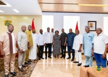 Vice President commends NDC regional chairmen for commitment to party ideals