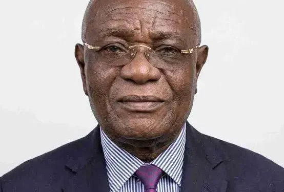 PALI Centre supports Council of State’s position on dual citizenship bill