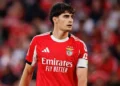Bournemouth agree £26m fee for Benfica defender Silva