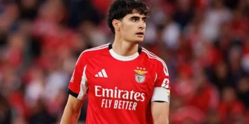 Bournemouth agree £26m fee for Benfica defender Silva