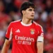 Bournemouth agree £26m fee for Benfica defender Silva