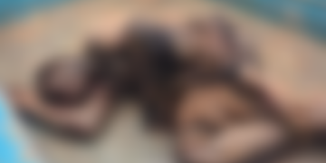 Assin North: Police rescue man from lynching over alleged attack on cocoa farmer