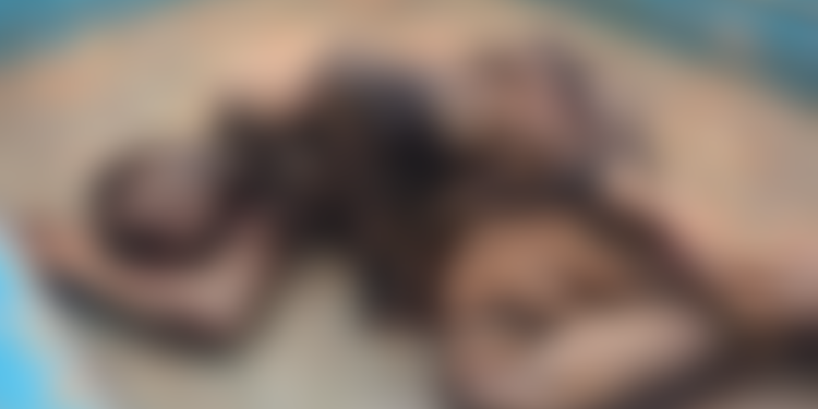Assin North: Police rescue man from lynching over alleged attack on cocoa farmer