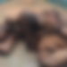 Assin North: Police rescue man from lynching over alleged attack on cocoa farmer