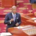 Minority summons Ablakwa over killing of Ghanaian in South Africa