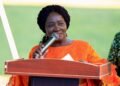 Vice President urges Ghanaian diaspora to support national development