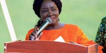 Vice President urges Ghanaian diaspora to support national development