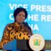 Vice President calls for inclusive and sustainable pension systems across Africa