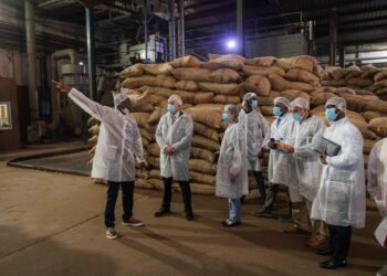 U.S.-Ghana trade partnership highlighted as U.S. diplomat visits Niche Cocoa facility in Tema