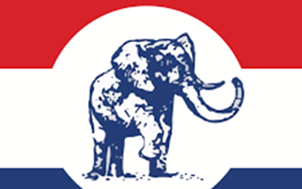 NPP annuls constituency executive elections in three constituencies over alleged violations