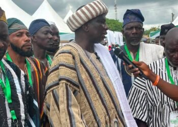 Dagbon Traditional Council to enskins regent in Yendi