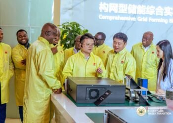 Energy Minister explores partnership opportunities with Huawei
