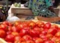 GH¢10 tomato price casts doubt on 5% inflation claim – Gideon Boako
