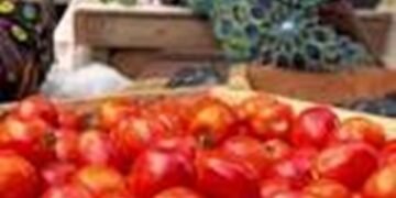 GH¢10 tomato price casts doubt on 5% inflation claim – Gideon Boako