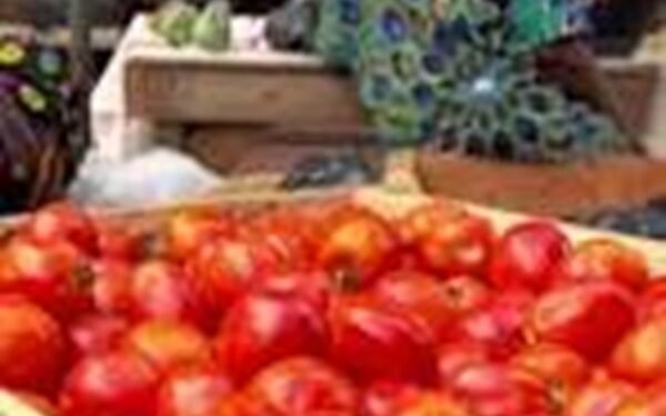 GH¢10 tomato price casts doubt on 5% inflation claim – Gideon Boako