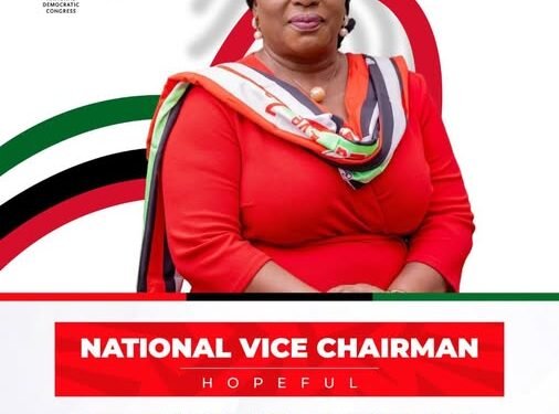 Vida Addae declares intention to contest NDC national vice chairman position
