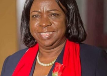 Zambia Vice President survives helicopter crash in Muchinga province