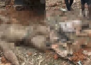 W/R: Four killed, several injured in dynamite explosion at Anto-Aboso