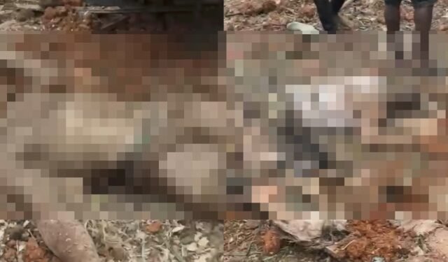 W/R: Three killed, several injured in dynamite explosion at Anto-Aboso