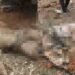 W/R: Four killed, several injured in dynamite explosion at Anto-Aboso