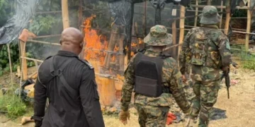 Akyem Hemang Shooting: NAIMOS denies involvement, demands retraction