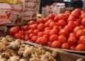 Ghana spends $168m on tomato imports; ginger dependence exceeds 99% — CSIR