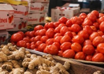 Ghana spends $168m on tomato imports; ginger dependence exceeds 99% — CSIR