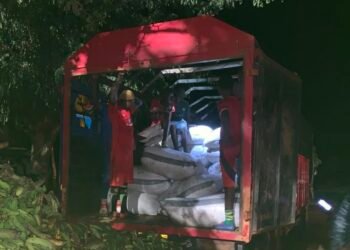Four arrested as police intercept 11.8 tonnes of cocoa at Bunkpurugu-Togo border
