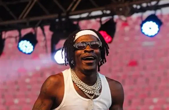 My career didn’t come on a silver platter – Shatta Wale