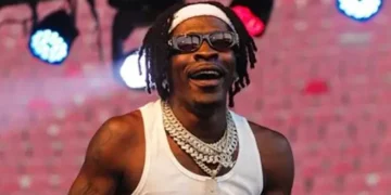 My career didn’t come on a silver platter – Shatta Wale