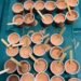 NACOC arrests 10 KTU students over alleged cannabis-infused products on campus