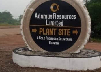 LMWG backs revocation of Adamus mining leases, calls for recovery of state funds