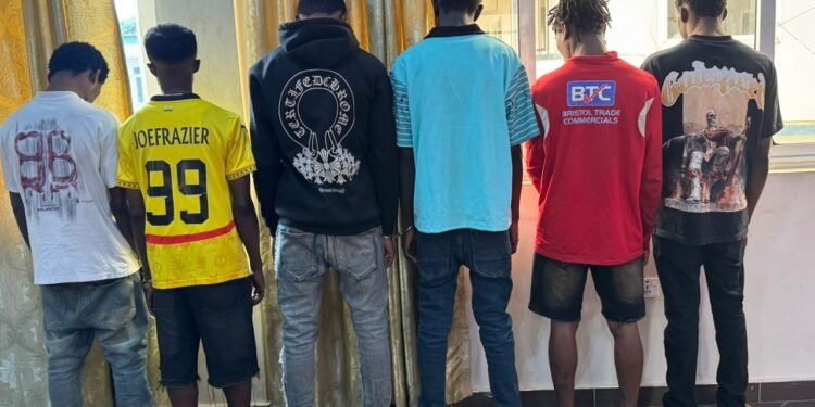 A/R: Police arrest six over suspected robbery syndicate, recover 33 phones