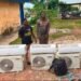 W/R:Two arrested for alleged attempted theft at Agenda 111 hospital in Ahanta West