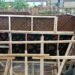 Asoukor bridge project remains ongoing despite rainfall disruptions-Kwakye Ofosu