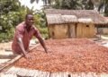 Koomson hails new Cocoa Law as major victory for farmers