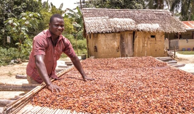 Koomson hails new Cocoa Law as major victory for farmers