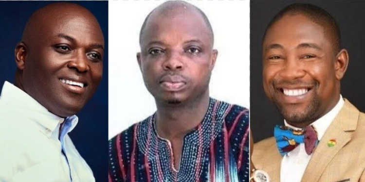NPP elects new regional chairpersons ahead of 2028 elections